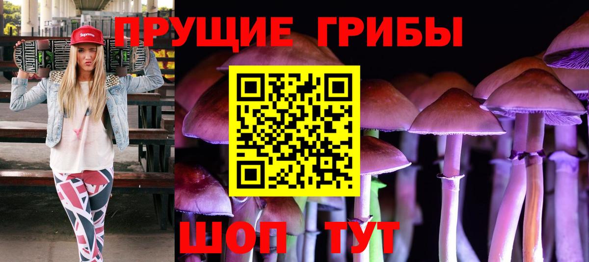 Галлюциногенные грибы Cubensis Якутск